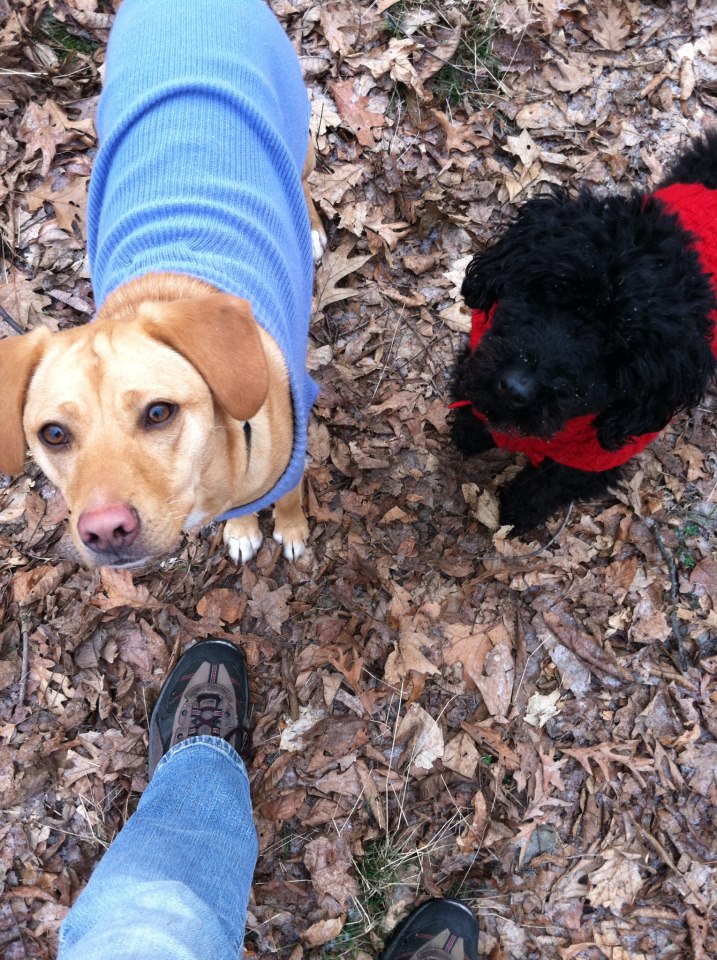 Chini and Nico -- the look of love. 