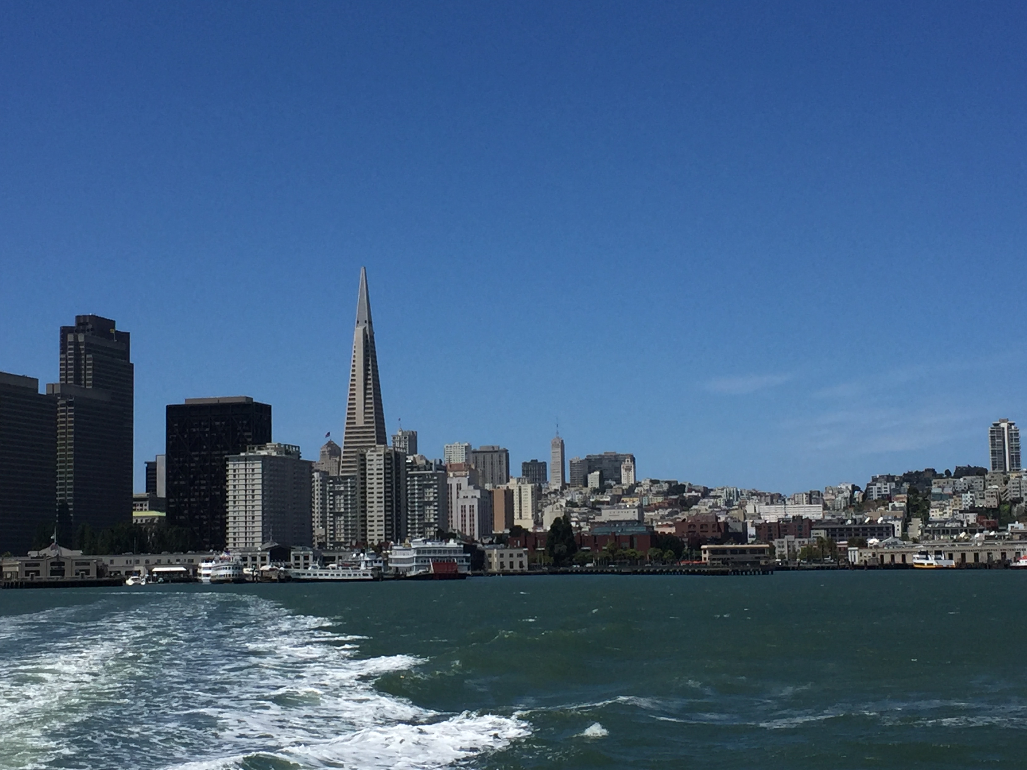 SF skyline 