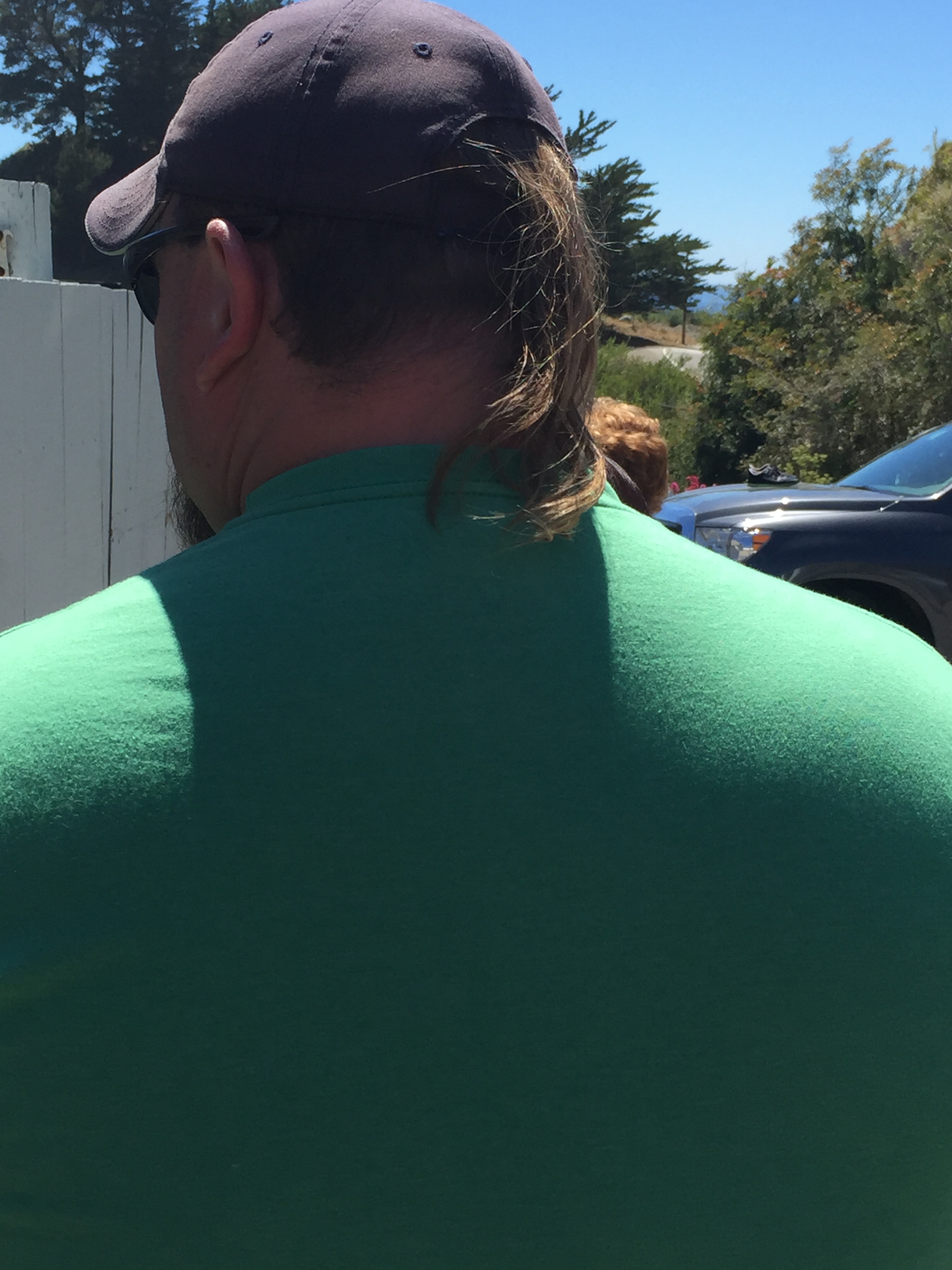 Mullet alive and well. 2016, somewhere on Rt. 1.