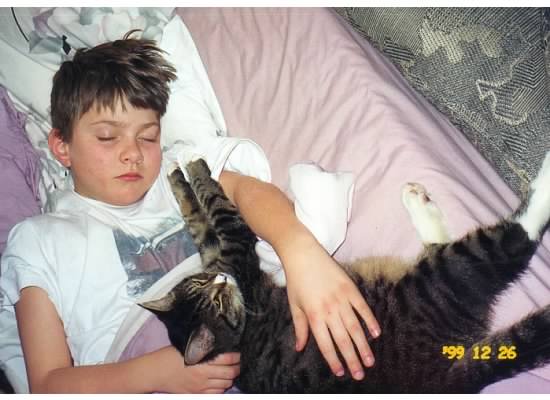 Boy + cat + sleep